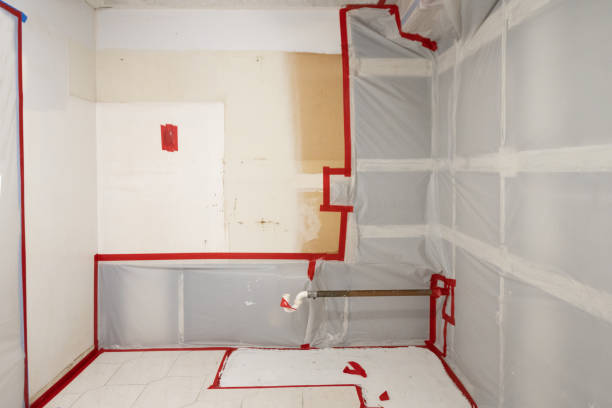 Best Mold Prevention Services  in Limestone Creek, FL