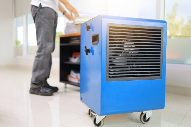 Best Air Quality Testing for Mold Spores  in Limestone Creek, FL