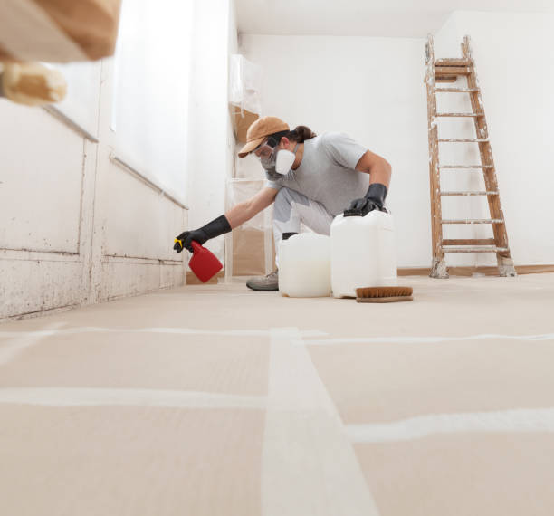 Best HVAC Mold Inspection and Cleaning  in Limestone Creek, FL