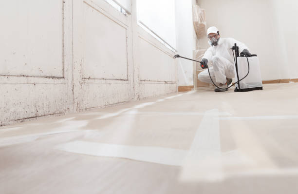 Best Asbestos and Lead Testing During Mold Inspection  in Limestone Creek, FL