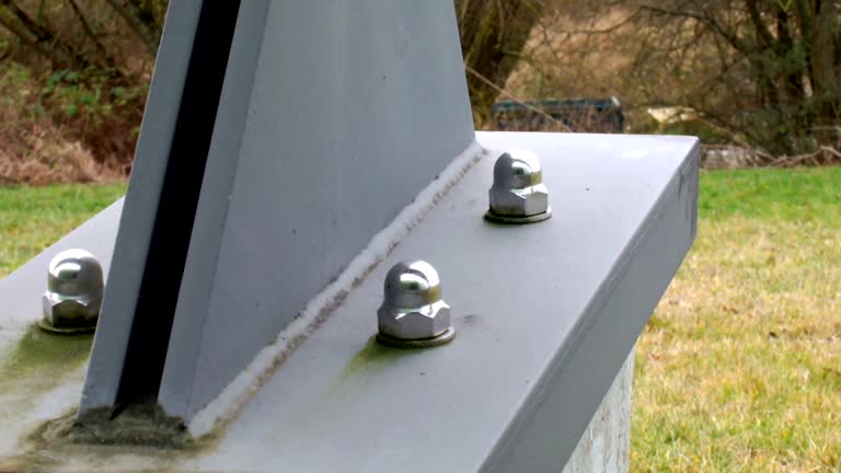 Best Attic Mold Removal  in Limestone Creek, FL